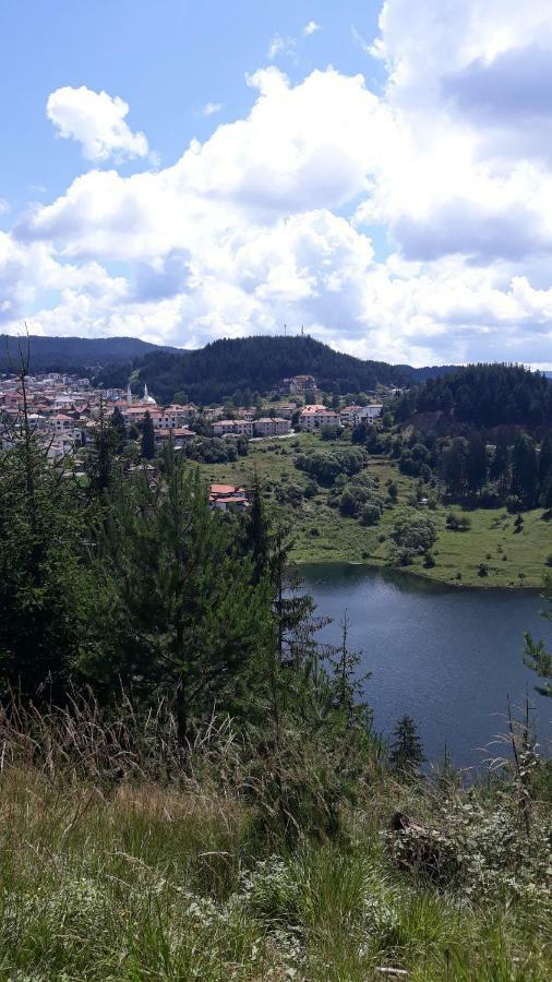 Pensiune Safi Dospat
